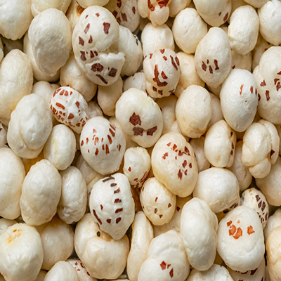 makhana thumbnail 2
