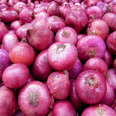 Onion
